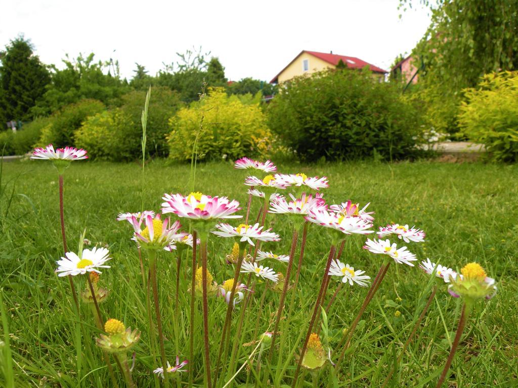 Pokoje Zabi Staw Mikołajki Exterior photo