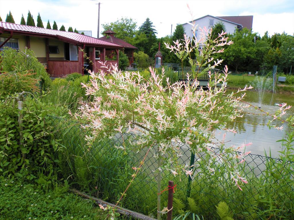 Pokoje Zabi Staw Mikołajki Exterior photo